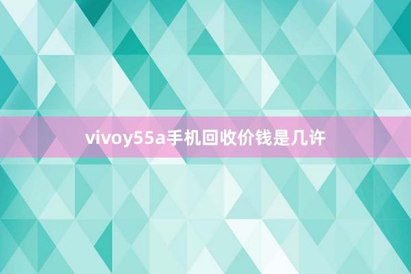 vivoy55a手机回收价钱是几许