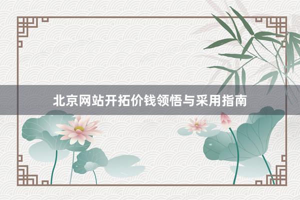 北京网站开拓价钱领悟与采用指南