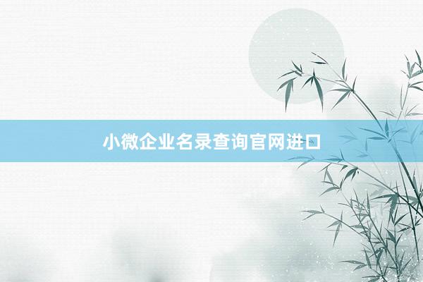 小微企业名录查询官网进口