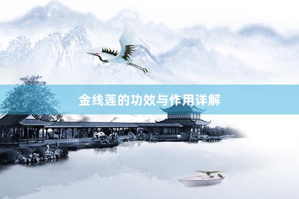 金线莲的功效与作用详解